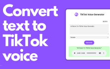 Tiktok Voice Generator Chrome Extension