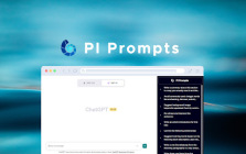 PI Prompts