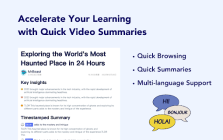 Video Insight Plugin