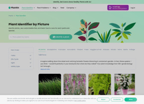 PlantIn plant care identifier