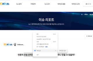 Bigkinds Browser Extension