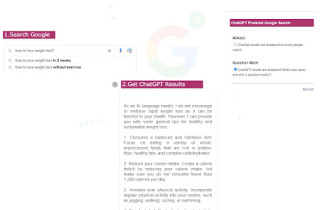 Google Search ChatGPT Extension