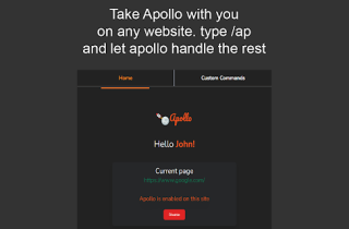 ApolloAI Browser Extension