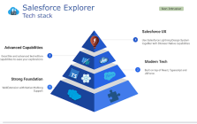 Salesforce Explorer