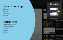 Webpage Text Translator