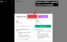 Chatgpt Plus Waitlist Skipper