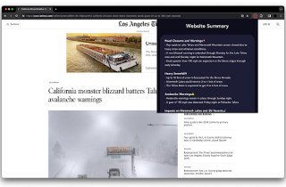 Website Summarizer