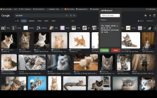 Vision-Enabled Language Model Extension
