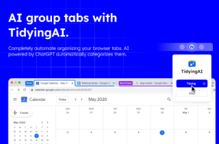 Chrome Tab and Bookmark Organizer