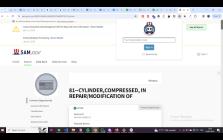 GovPipeline AI Extension