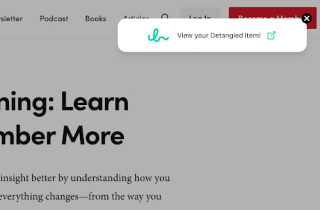Detangle.ai