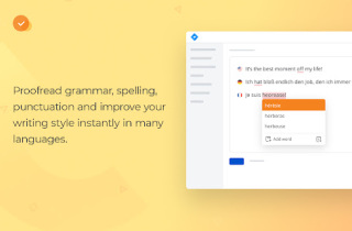 WProofreader