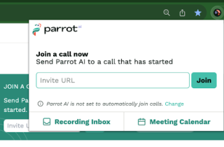 Parrot AI