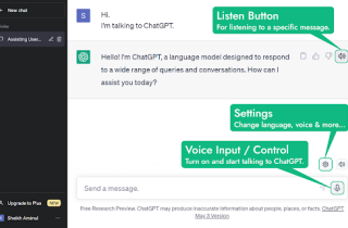 ChatGPT Voice Extension