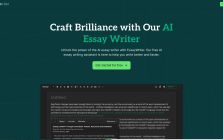 EssayWriter