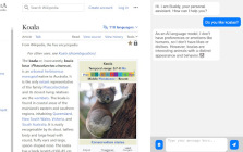 ChattyBuddy