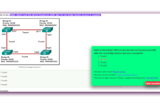 NetAcad Assessment AutoSolver