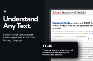 ExplainTXT