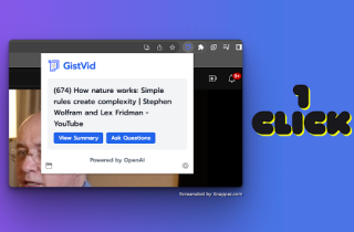 GistVid
