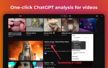 VideoMind