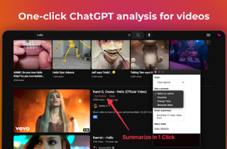 VideoMind