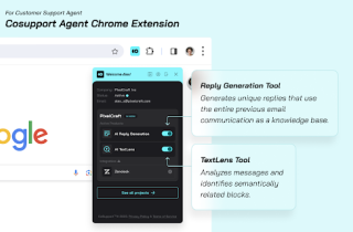 CoSupport Agents