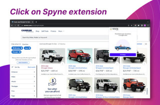 Spyne