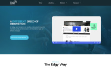 Edgy Labs LLC