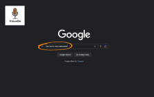 Voice Typing Extension