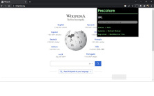 Malicious Website Checker