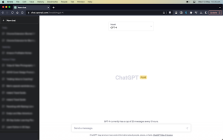 Chat Privacy Extension