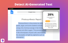 Plagiarism Detector