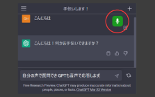 ChatGPT Voice Conversation