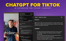 TikTok Video Transcript and Summary