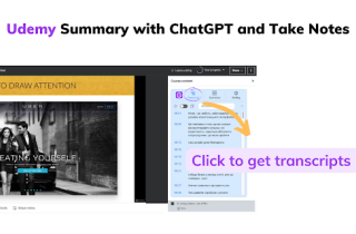 ChatGPT with Udemy videos summary generator