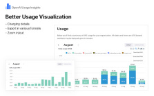 OpenAI Usage Insights