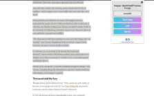 Summarizer Browser Extension