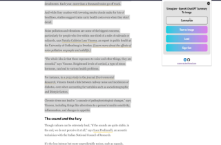 Summarizer Browser Extension