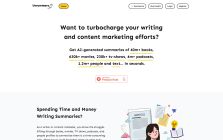 AI Summaries