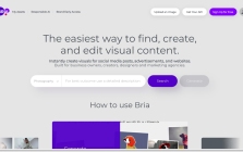 BRIA.ai