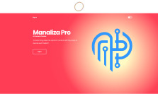Manaliza Pro