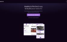 Asekio - AI Website Builder