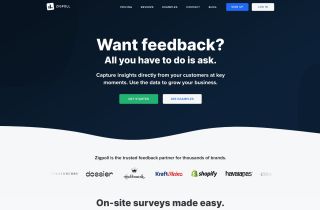 Zigpoll - Survey & Feedback Platform