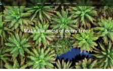 SeeTree_AI