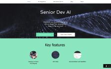 SeniorDev