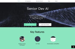 SeniorDev