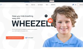 Wheezeless