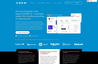 ERP AI
