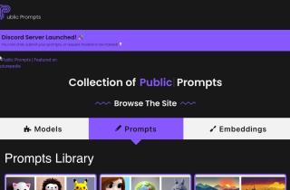 Public Prompts