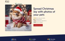 MyPet Christmas | Christmas Photos of Pets